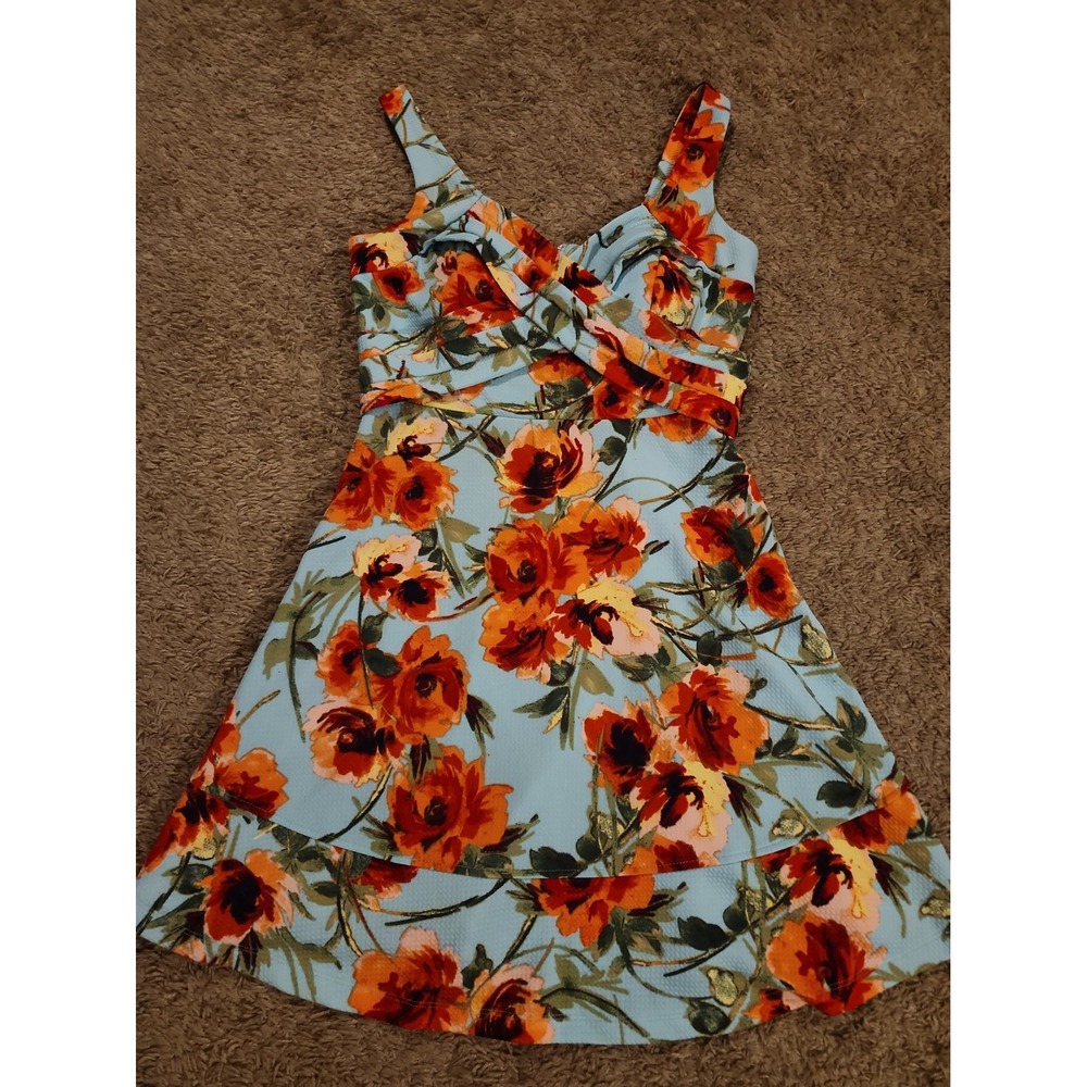 Emerald Sundae Blue Floral Fit & Flare Sleeveless Summer Dress Large